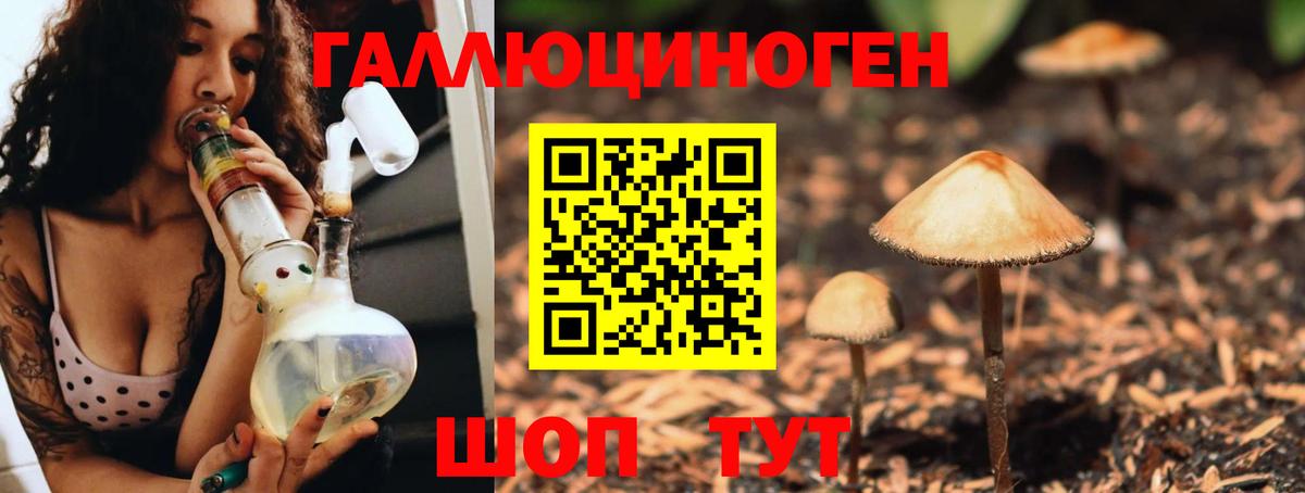 Кинель  Галлюциногенные грибы прущие грибы  Псилоцибиновые грибы Magic Shrooms  Вход с VPN 